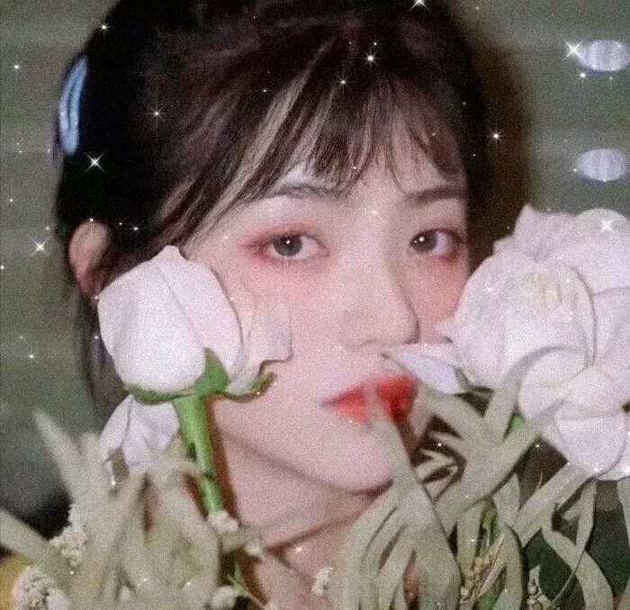 影后风云